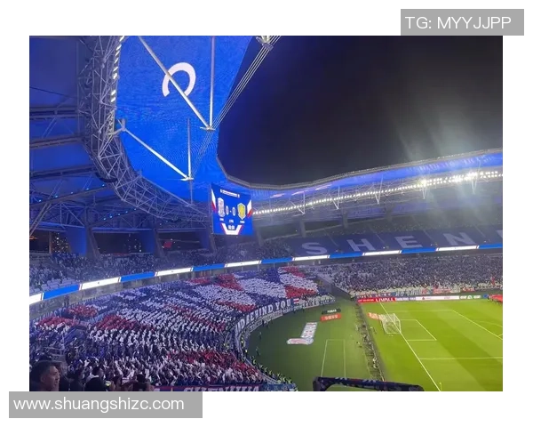 上海足球队的运营模式与市场策略深度解析及其未来发展展望