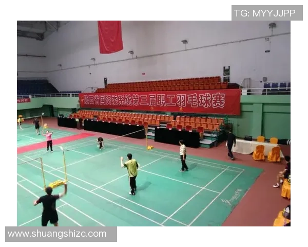 上海羽毛球队在锦标赛中的意识表现分析与总结