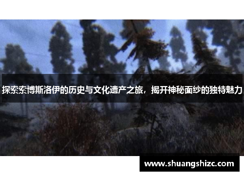 探索索博斯洛伊的历史与文化遗产之旅，揭开神秘面纱的独特魅力