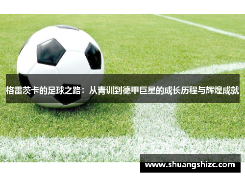 格雷茨卡的足球之路：从青训到德甲巨星的成长历程与辉煌成就